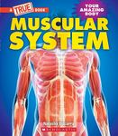 Muscular System (A True Book: Your Amazing Body) (A True Book (Relaunch))