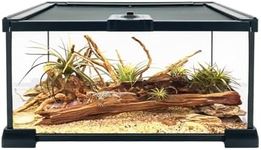Reptile Growth Reptile Terrarium, 12" x 8"x 6" Reptile Tank with Top Sliding Door Screen Ventilation Glass Tank for Leopard Gecko Bearded Dragon Lizard snail stick insect tarantula gecko snake