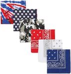 American Flag 6-Pack Multicolored B