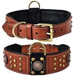 DowgClub Genuine Leather ‘Cupola’ Series Dog Collar | Celtic Conchos & Gold Dome Rivets | Soft, Cushion Padding, Handmade | Best for Medium, Large, XL Breeds (L (Neck Size 18.5"-22.5"), Sienna Brown)