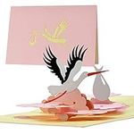 G23.3 Birth Card, Girl Greeting Card, Pop Up Stork Bird, Gift for Mom and Dad