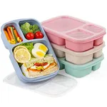 Lunch Boxes