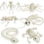 Halloween Animal Skeletons, 6 Pack Skeleton Animal Decorations Yard Fall Decor and Reaper Bones Animals Graveyard Prop for Haunted House Halloween Party Decor (6 Pieces, Animal Skeletons)