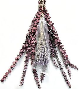 Red Eucalyptus Stems & Lavender Bundle, Natural Preserved for Shower Decor