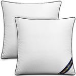 Utopia Bedding Throw Pillow Inserts (Pack of 2, White), 16 x 16 Inches Decorative Indoor Pillows for Sofa, Bed, Couch, Cushion Sham Stuffer