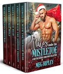 Mates Under the Mistletoe: A Shifter Nation Christmas Collection