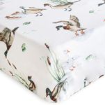 LifeTree Crib Sheets for Baby Boys 