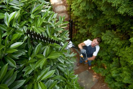 WORX 20V Cordless Pole Hedge Trimmer – Lightweight, Extendable