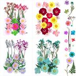 SPOKKI 82PCS Real Dried Flowers for