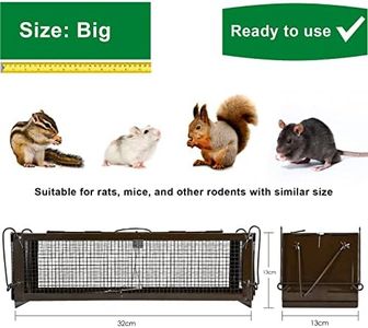 Slide 5