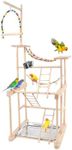 Chuiendi Bird Playground, Parrot Play Stand, Natural Wood Perch Stand Play Gym for Parakeet Conure Cockatiel Lovebird Budgie with Feeder Cups, Swings, Ladder and Detachable Tray