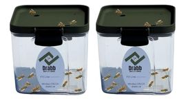 The Solution, 2 Pack by Drabb. Unnoticeable Wasp and Fly Trap. No Hanging. No Bright Colours. No Odours. Easy to Use. No Assembly Required. Made in Canada!