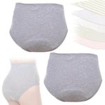 Washable Urinary Incontinence Underwear for Patients,Elders and Women,Reusable Waterproof Leakproof Cloth Diapers,High Waist Leakproof Ladies Period Panties,L,2 Pcs