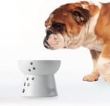 Necoichi Raised Dog Food Bowl, Elevated, for dogs and cats, pets feeding feeder Non-slip for small dogs Dishwasher and Microwave Safe, No.1 Seller in Japan! (Dog, Food Bowl)