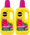 Miracle-Gro 121180 Azelia, Camellia & Rhododendron Concentrated Plant Food, 800 ml, Natural (Pack of 2)