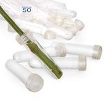 Floral Water Tubes/Vials for Flower Arrangements by Royal Imports, Clear - 3.5" (3/4" Opening) - Standard - 50/Pack - w/Caps