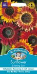 Mr Fothergills - Pictorial Packet - Flower - Sunflower Evening Sun - 50 Seeds