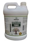 Greenedge Organic Liquid Seaweed Tonic (1 Liters) Liquid (40%) Concentrate for Flowering, Fruiting & Complete Soil Nourishment, 1 L