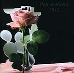 Pop Ambient 2011