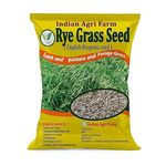 Iagrifarm Rye Grass Seed - 250 gram - Perennial Ryegrass (English Ryegrass seed) Fast Growing Grass for Lawn, Lush and Pasture and Forage Grass