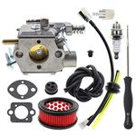 AUTOKAY WT-416 Carburetor with Air Filter for Echo CS-440 CS-4400 303T Chainsaws Replace for Walbro WT-416-1 WT-416C Echo 12300039330 12300039332 12300039333