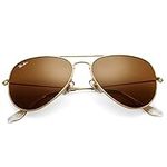 Pro Acme Classic Aviator Sunglasses