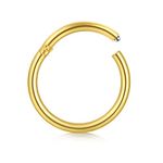 D.Bella Hinged Nose Rings Hoop 316L Surgical Steel Hypoallergenic Septum Ring Lip Ring Helix Cartilage Rook Earrings Body Piercing Jewelry 14G, Diameter 10mm Gold