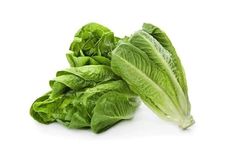 VibeX ROMAINE LETTUCE SEEDS-500 Seeds