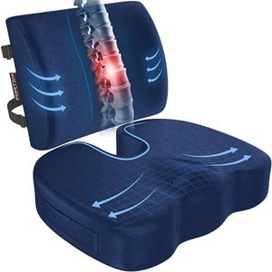 FORTEM Chair Cushion, Seat Cushion for Office, Lumbar Support for Chair, Back Support Memory Foam Pillow Washable Cover, XL (Blue, Velour)