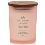 Chesapeake Bay Candle | Stillness + Purity Medium Tumbler Aromatherapy Candle | Burn Time: Up to 57 Hours | Mind & Body Collection