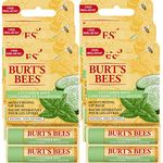 Burt's Bees 100% Natural Moisturizing Lip Balm, Cucumber Mint - 2 Tubes, 6 Count, Value Pack