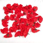 Roseikon Rids Artificial Carnation Flowers Pack of 100 Home Decorations Loose Carnation Flower Heads & Artificial Flower for Home Decor (Pack of 100 Pics Red)