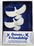Kurt Adler 4.5" Resin Friendship Dove Ornament Set of 2