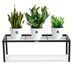 Urban Plant Apollo Metal Plant/Pot Stand for Garden | Planter Stand for Indoor & Outdoor | Flower Pot Stand for Balcony | Living Room Decor (Black Pack of 1)