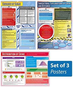 Daydream Education Crime Posters - Set of 3 | Sociology Posters | Gloss Paper measuring 33” x 23.5” | Sociology Class Posters | Education Charts