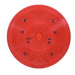 Ramdev Acupressure Products Plastic Tummy Twister