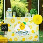 Windkream 45" x 31" Lemonade Tablecloth for Lemonade Stand Supplies Lemonade Table Cover for Kids Lemon Party Supplies Summer Beach Picnic Birthday Party Decorations