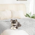 gogobunny Calming Plush Dog Cat Blanket 300GSM Coral Fleece, Ultra-Soft Machine Washable Pet Bedding for Small Medium Dogs Cats Puppies Kittens (Silver, 60x80)