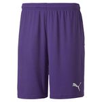 PUMA Team Goal 23 Knit Shorts Knitted Shorts - Prism Violet, M