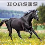 2025 Horses Wall Calendar