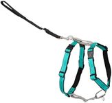 PetSafe 3-in-1 Harness - Comfortabl
