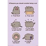 Pyramid International Reasons to be a Cat Pusheen Maxi Poster, Plastic/Glass, Multi-Colour, 61 x 91.5 x 1.3 cm, Living Room