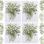 CONVELIFE Dried Babys Breath White,