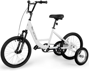 MOSHAY 20 