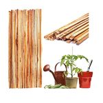 KERQOOR Natural Teak Wooden Support Sticks for Plant Support Height 3 Feet Pack of 12 Piece Long| Climbers Support for Live Plant Indoor and Outdoor Gardening