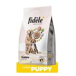 Fromm Puppy Food For Large Breeds