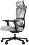 ProtoArc EC100 Ergonomic Office Chair – Computer Desk Chair for Work with 10cm Thicker Spring Cushion, Lumbar Support, Adjustable Armrest & Headrest, Swivel Mesh Chair for Home Office, Grey