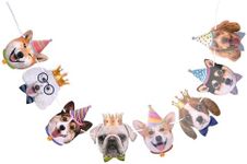 Light Autumn Dog Birthday Banner - Pet Party Supplies Multicolor - Dog Theme Birthday Decorations - Puppy Party Decorations - Decoration for All Dog Lovers - 4.8''x5.9 for Each of The 8 Dogs