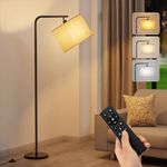 Living Room Floor Lamp with Remote 