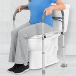 Vive Toilet Safety Rail for Handica